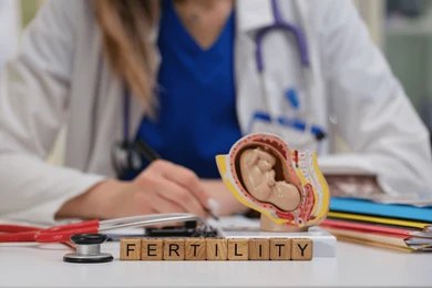 Fertility Counseling