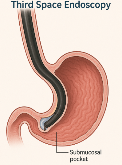 Modern endoscopic treatment facility