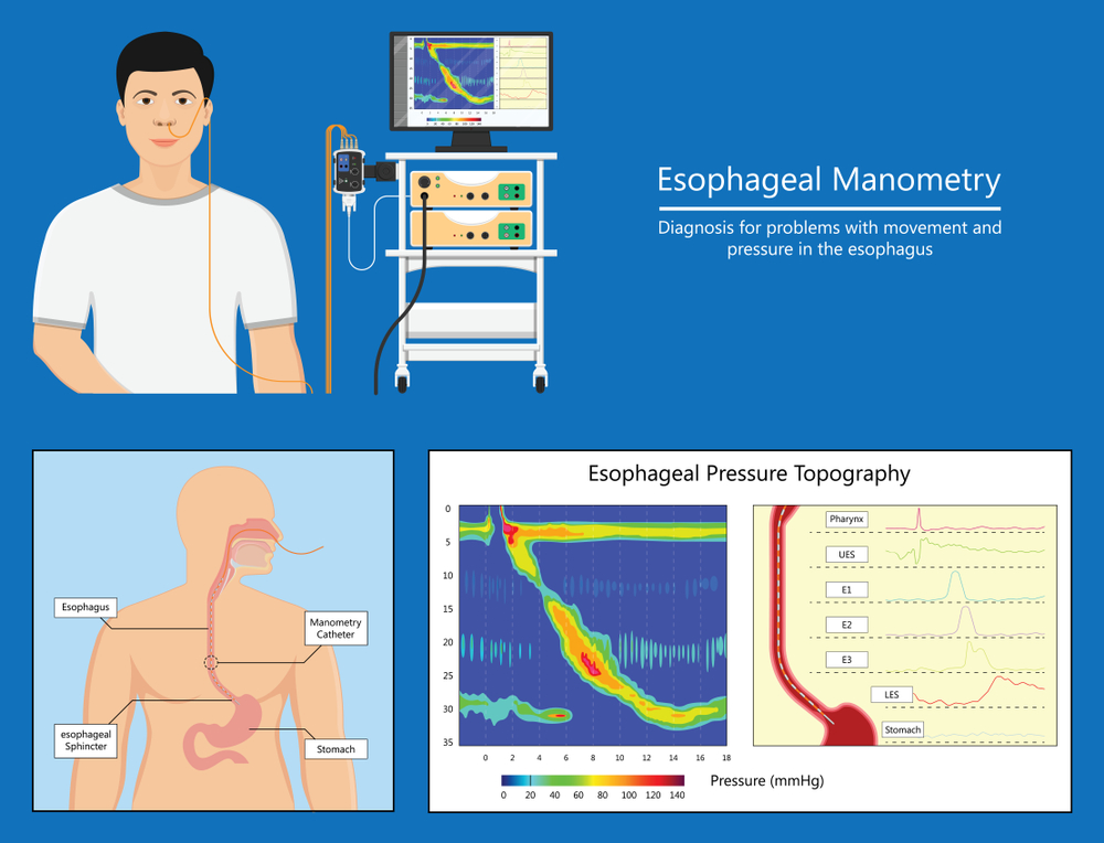 Medical professional viewing high-definition endoscopic imagery on monitor