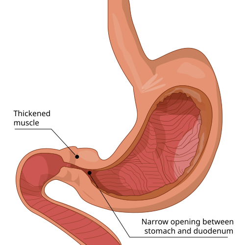 Medical professionals performing therapeutic intervention