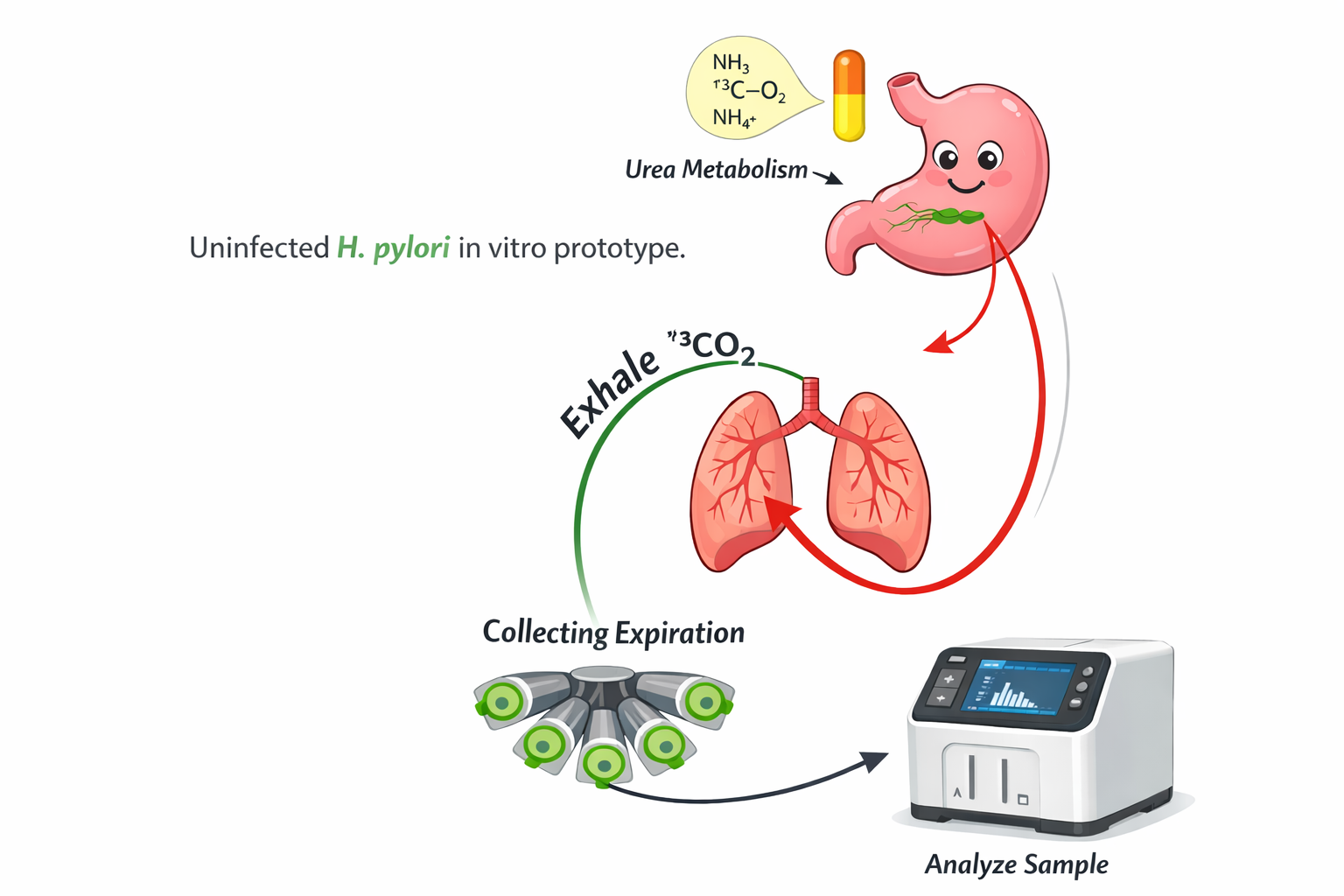 Medical professional viewing high-definition endoscopic imagery on monitor