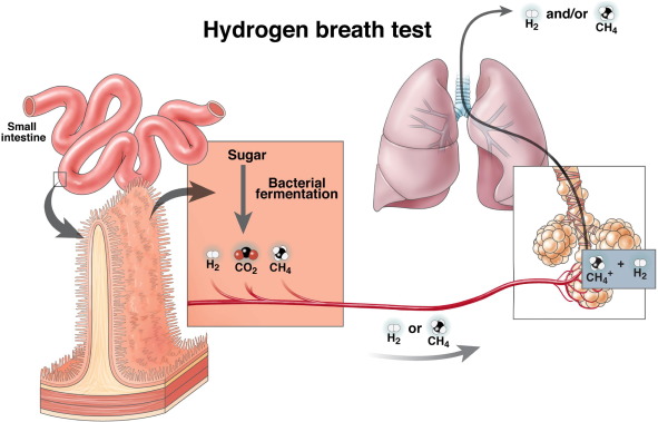 Modern colonoscopy medical room with advanced equipment
