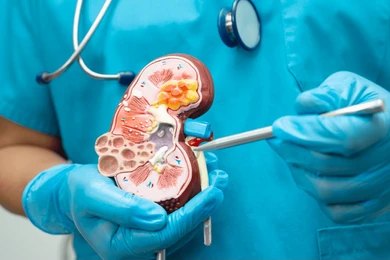 Kidney Disease Management