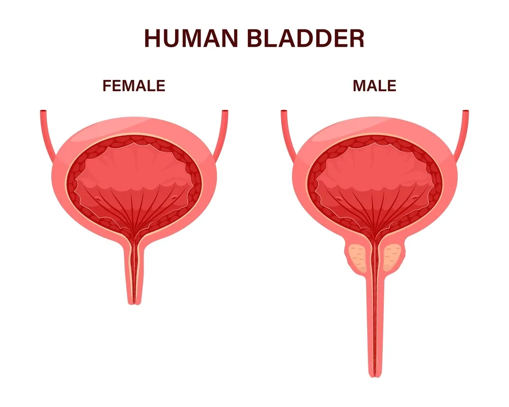 Bladder Care